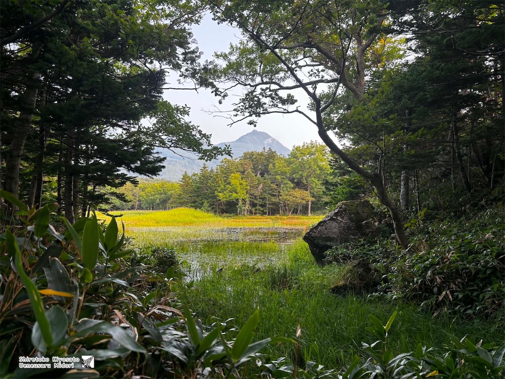 f:id:ueneusarumidori71:20260906222236j:image f:id:ueneusarumidori71:20260906222236j:image