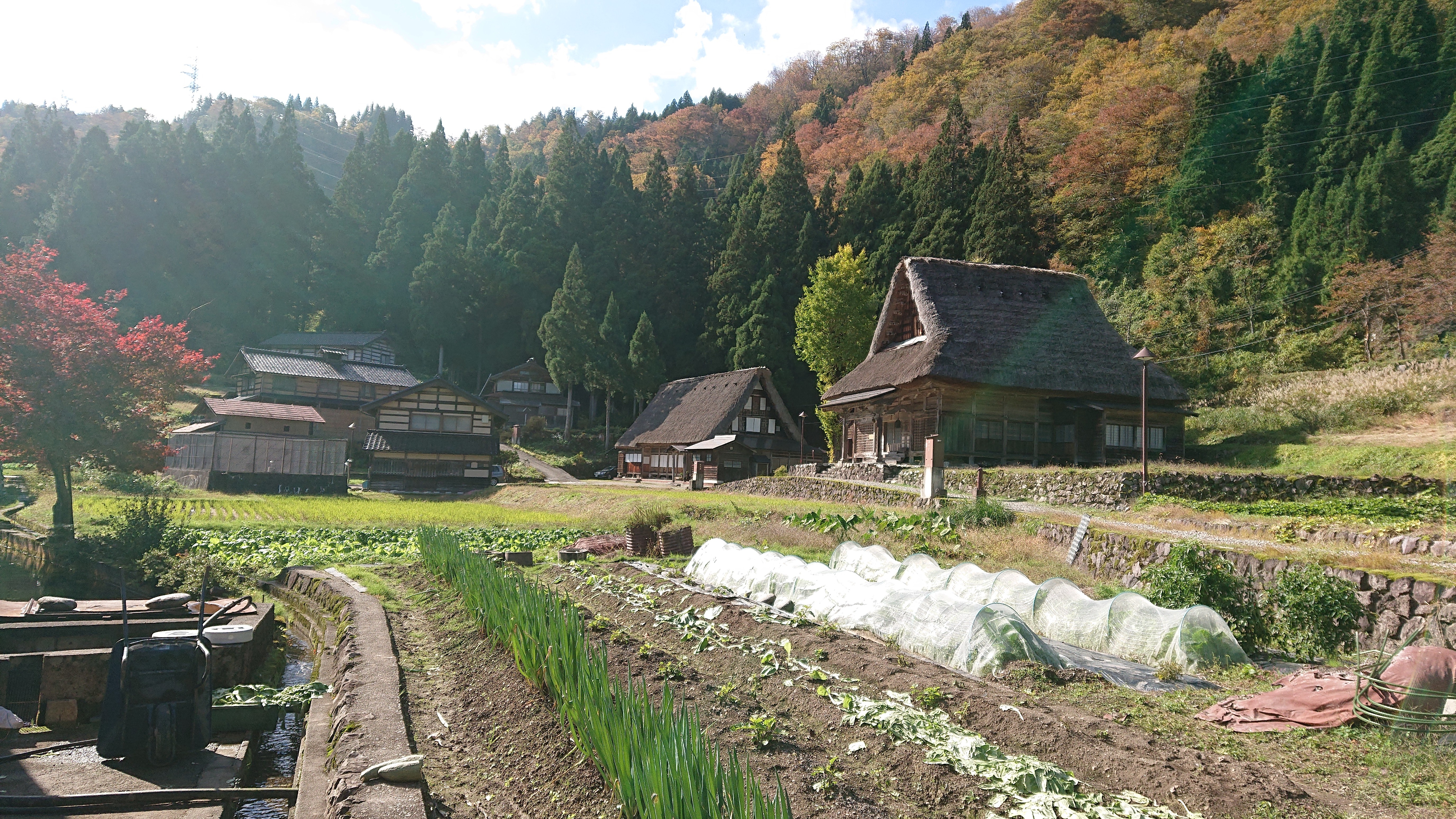 f:id:ueno-kenji:20200823233616j:plain