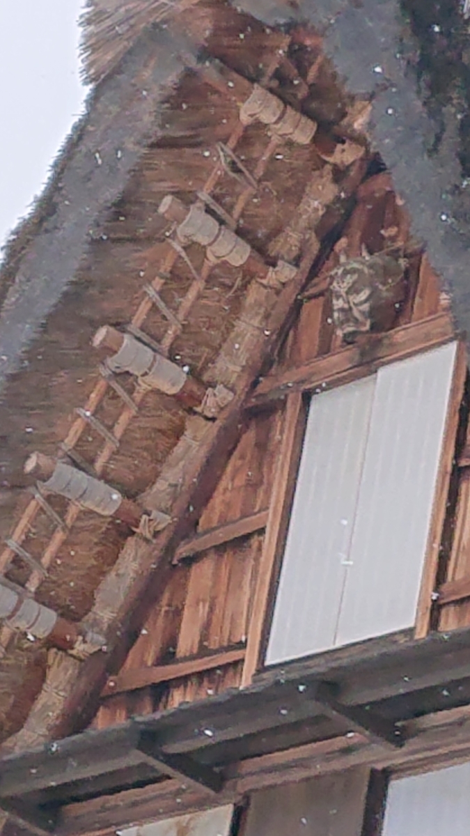 f:id:ueno-kenji:20200824205253j:plain