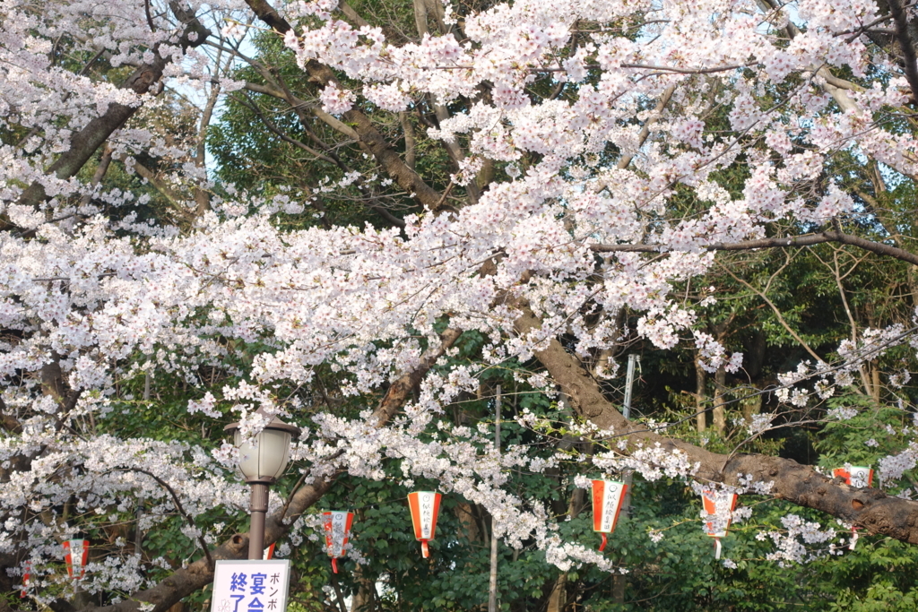 f:id:uenonavi:20180410204402j:plain f:id:uenonavi:20180410204402j:plain