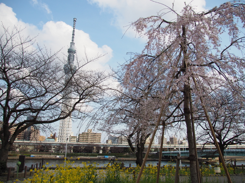 f:id:uenonavi:20180417232442j:plain