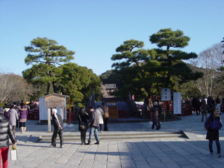 f:id:uenoshuichi:20090101084252j:image