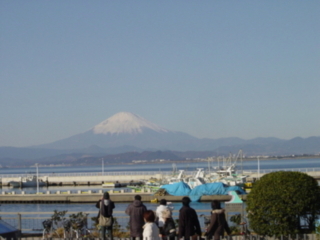 f:id:uenoshuichi:20090101100402j:image