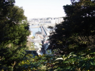 f:id:uenoshuichi:20090101102214j:image