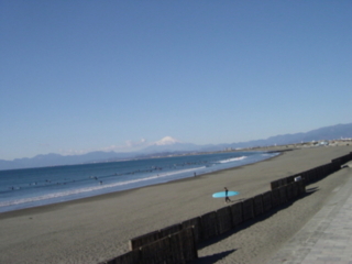 f:id:uenoshuichi:20090103111054j:image