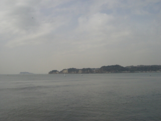 f:id:uenoshuichi:20090215122632j:image