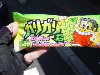 f:id:uenoshuichi:20090813124113j:image