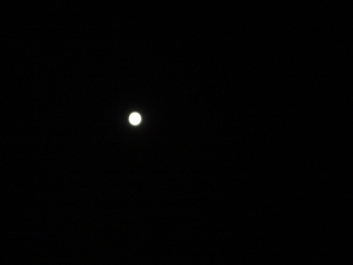 f:id:uenoshuichi:20091003205329j:image