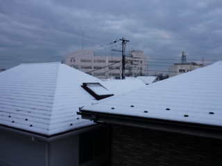 f:id:uenoshuichi:20100202064156j:image