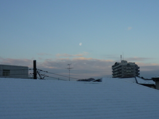f:id:uenoshuichi:20100202071638j:image