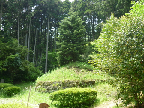 f:id:uenoshuichi:20110521121018j:image
