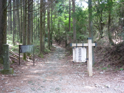 f:id:uenoshuichi:20110521131155j:image