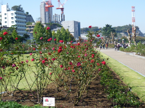 f:id:uenoshuichi:20121021112500j:image