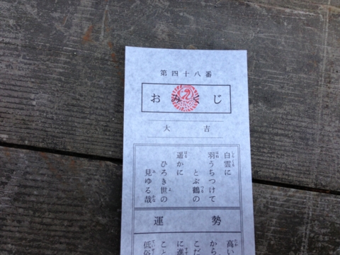 f:id:uenoshuichi:20130101083719j:image