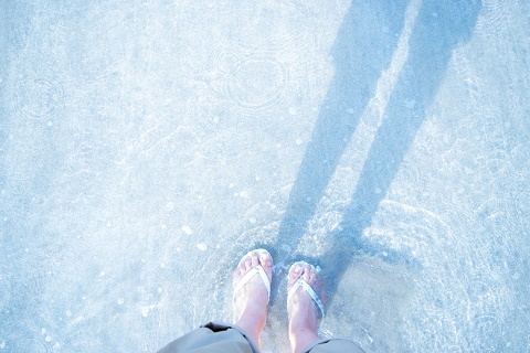 f:id:uenoyou111:20170912002444j:plain f:id:uenoyou111:20170912002444j:plain