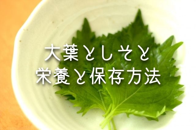 大葉の栄養価は高め 保存方法は何が最適 冷凍 しそとの違いって何 うえのブログ