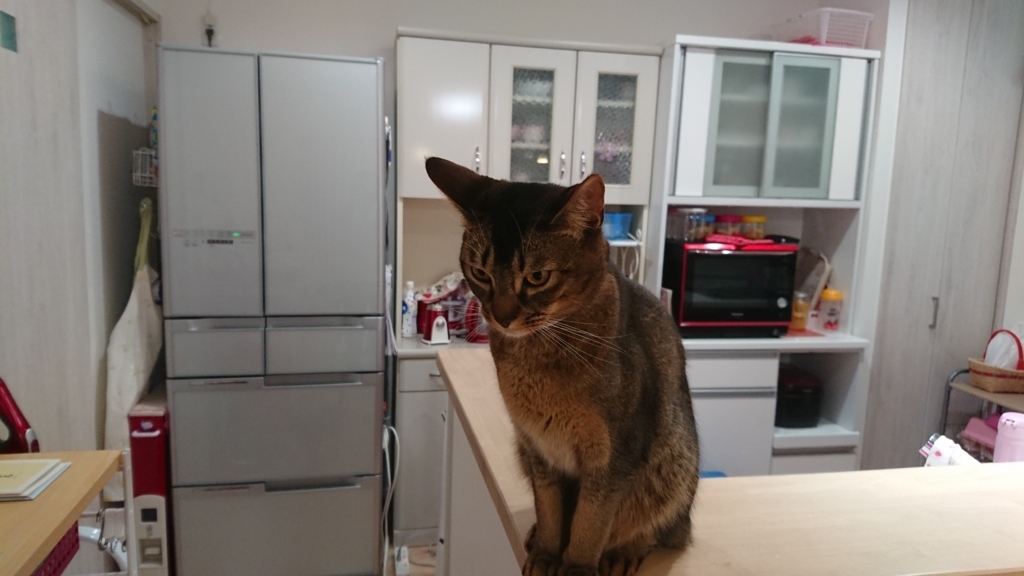 f:id:uenoys-113433:20180528225121j:plain