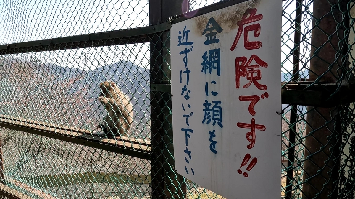 おさるの山