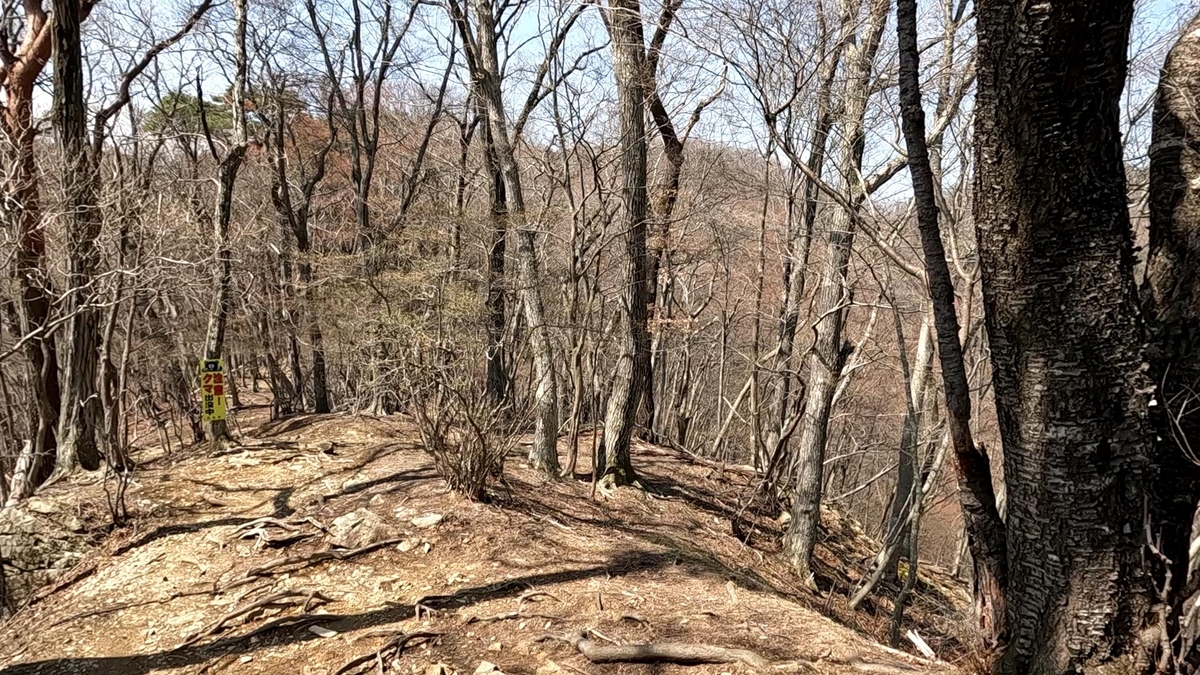 温泉神社（山頂）