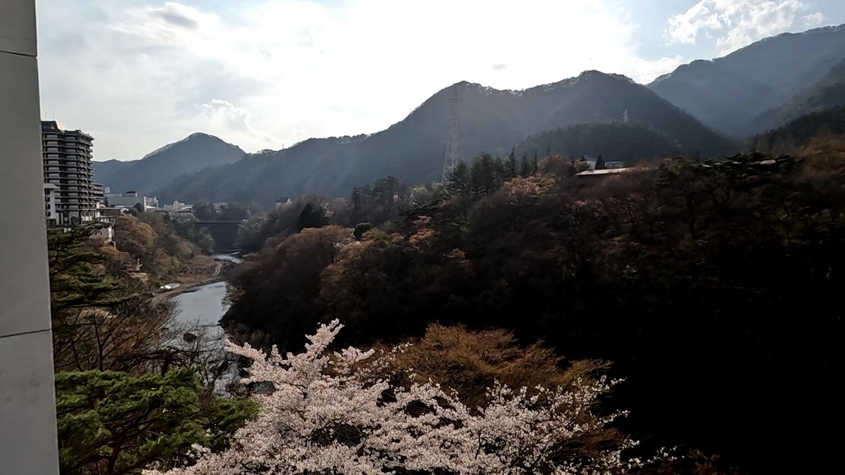 部屋からの景色