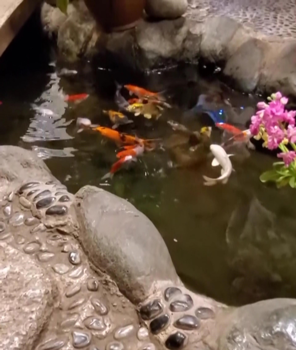川魚料理 なか川