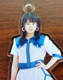 f:id:uepon-2121:20200213211839p:plain