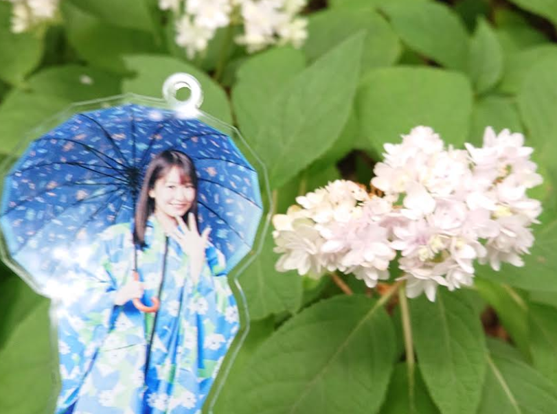 f:id:uepon-2121:20200802204605p:plain