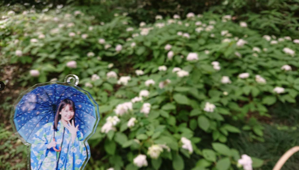 f:id:uepon-2121:20200802204651p:plain