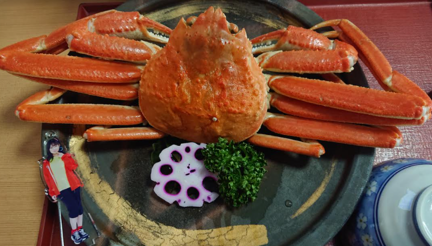 f:id:uepon-2121:20201018201942p:plain f:id:uepon-2121:20201018201942p:plain