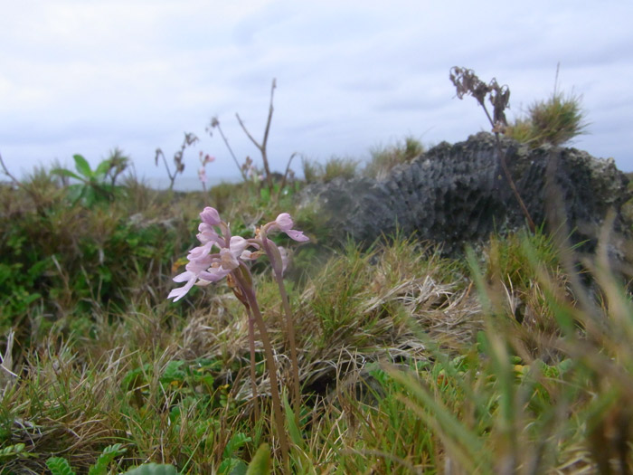 f:id:ueshin7:20120312232858j:image:w640