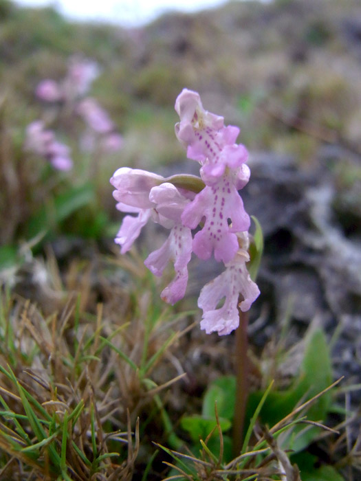 f:id:ueshin7:20120312232859j:image:w640