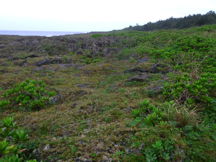 f:id:ueshin7:20120312232901j:image:w640