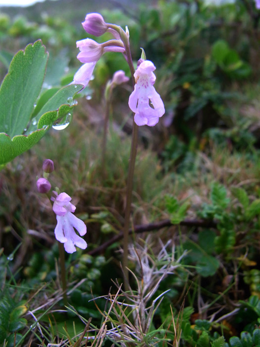 f:id:ueshin7:20120312232902j:image:w640