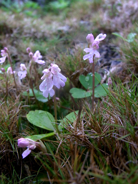 f:id:ueshin7:20120312232903j:image:w640