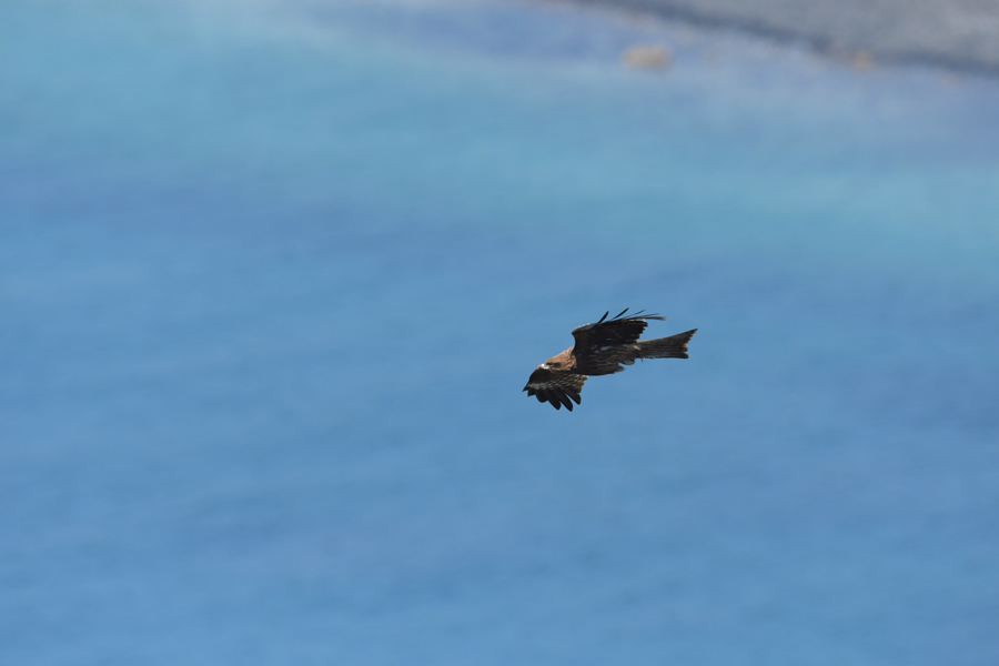 f:id:ueshin7:20190628065536j:plain