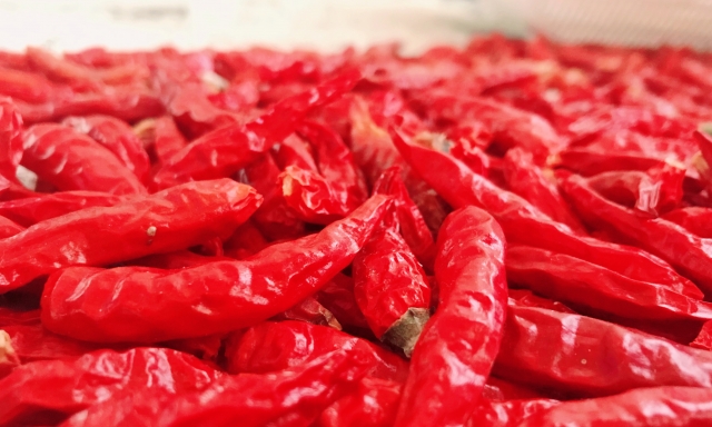 f:id:uesinkun:20190929162624j:plain f:id:uesinkun:20190929162624j:plain