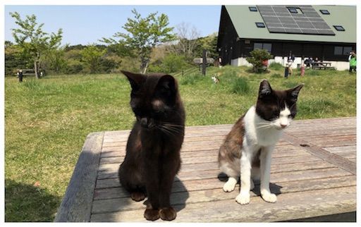 f:id:uesugi_rintaro:20180429203609j:plain f:id:uesugi_rintaro:20180429203609j:plain