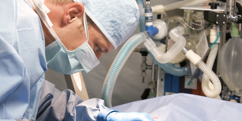 f:id:uesugi_rintaro:20190425192752p:plain