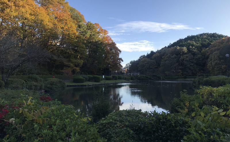 f:id:uesugi_rintaro:20191117151248j:plain