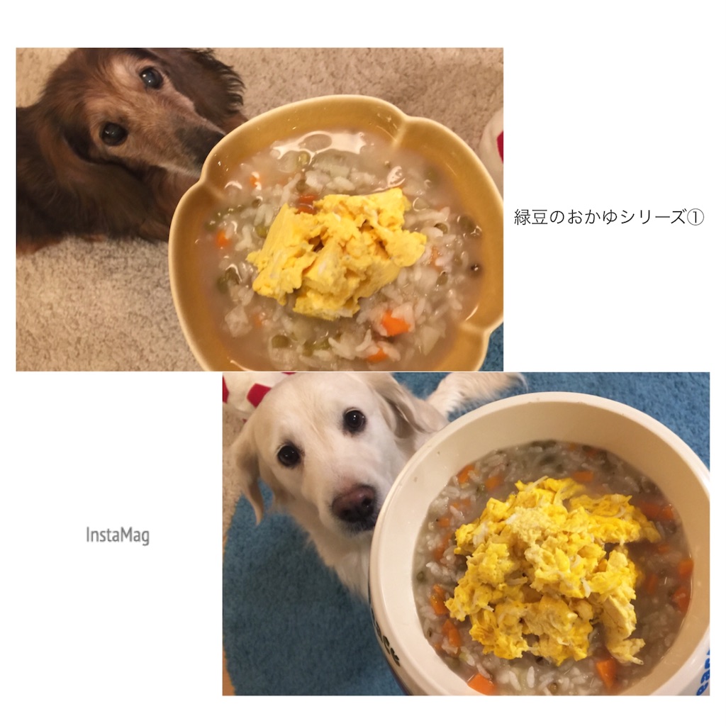 緑豆のお粥シリーズ しらす干しのスクランブルエッグ 幸せのテーブル いぬのいる暮らし