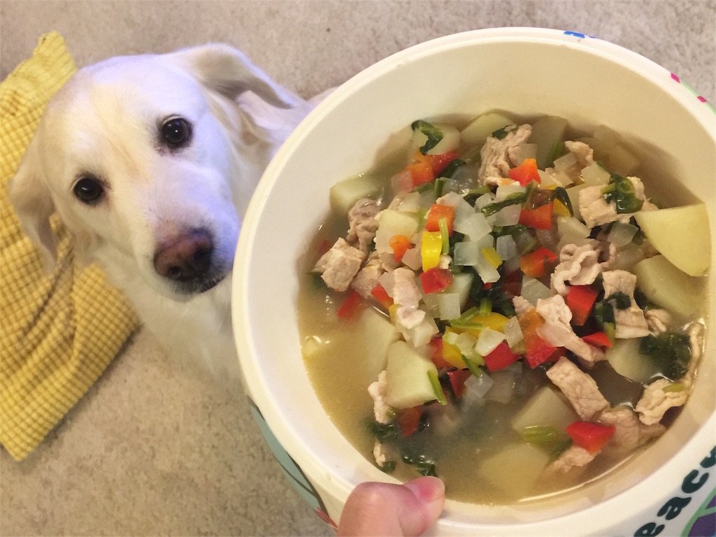 犬ごはん 豚肉とじゃがいものごはん 幸せのテーブル いぬのいる暮らし