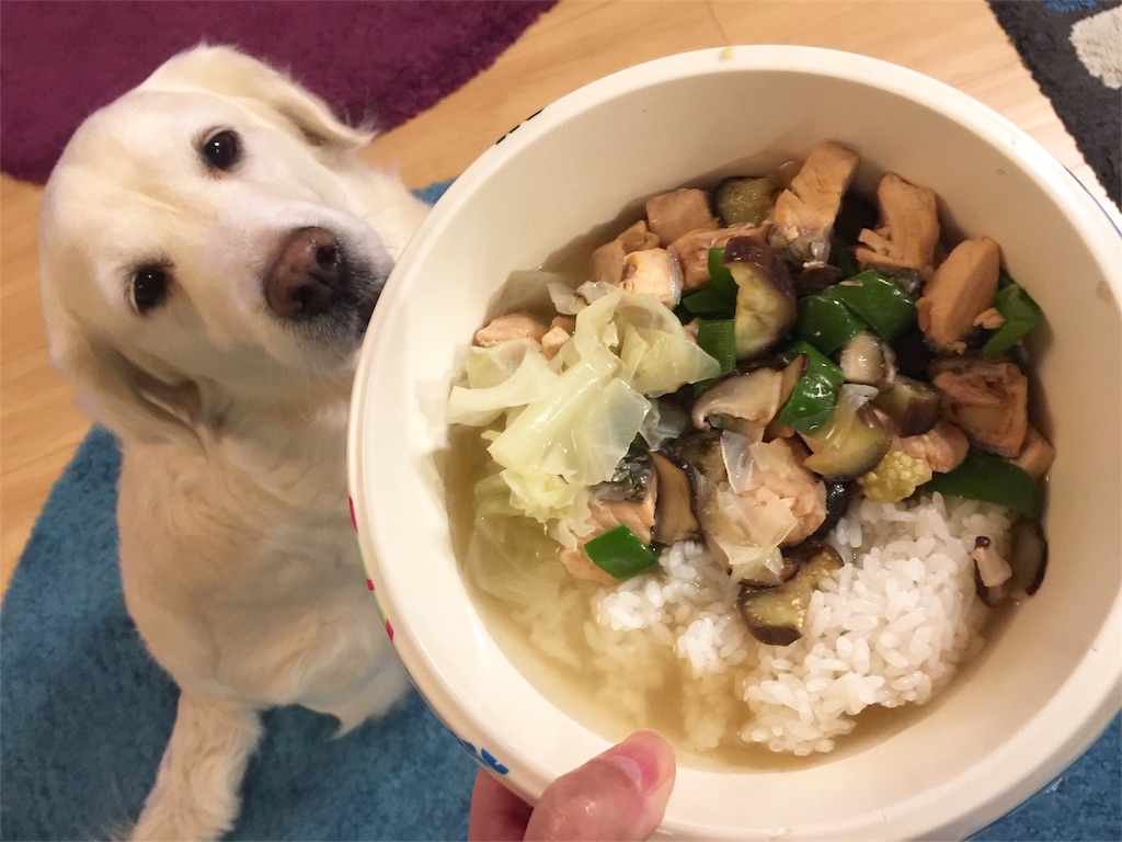 犬ごはん 秋鮭と茄子の炒め物定食 幸せのテーブル いぬのいる暮らし