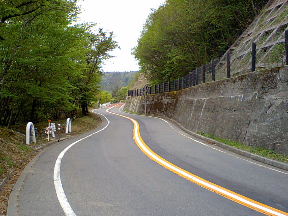 f:id:uga-tsu:20200516171032j:plain