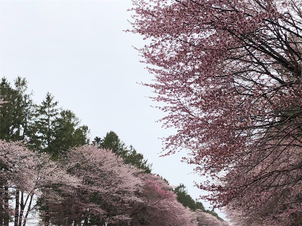 f:id:uga08:20210501061717j:image