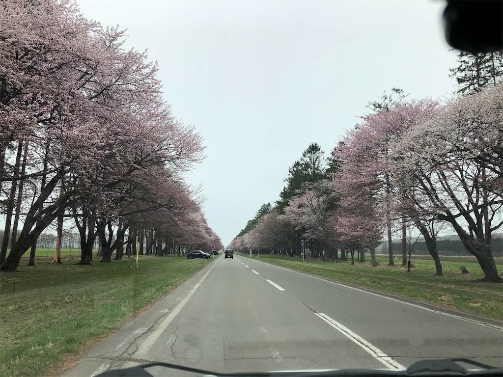 f:id:uga08:20210501061724j:image