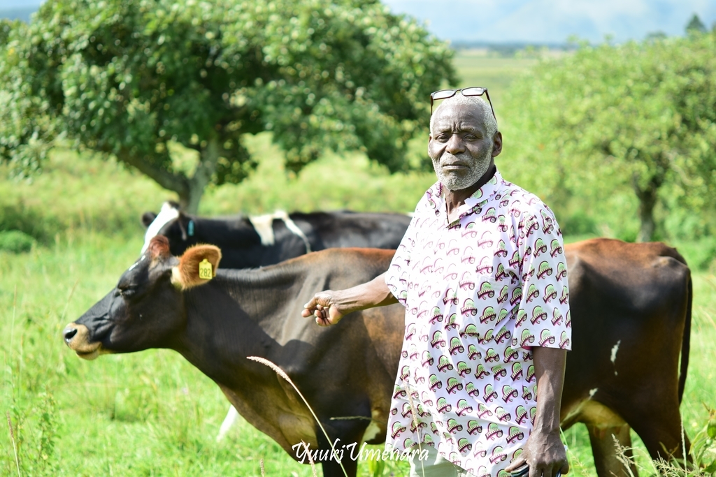 f:id:ugandacowcowdiary:20181205071633j:plain