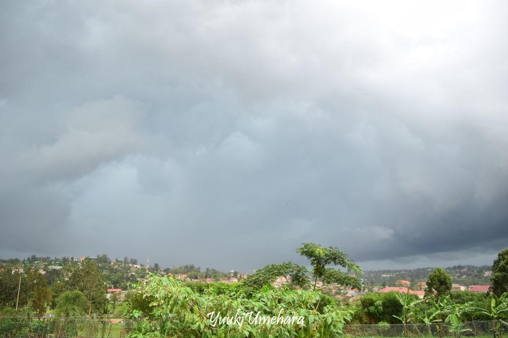 f:id:ugandacowcowdiary:20181205074053j:plain