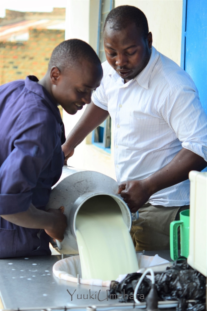 f:id:ugandacowcowdiary:20190210214056j:plain