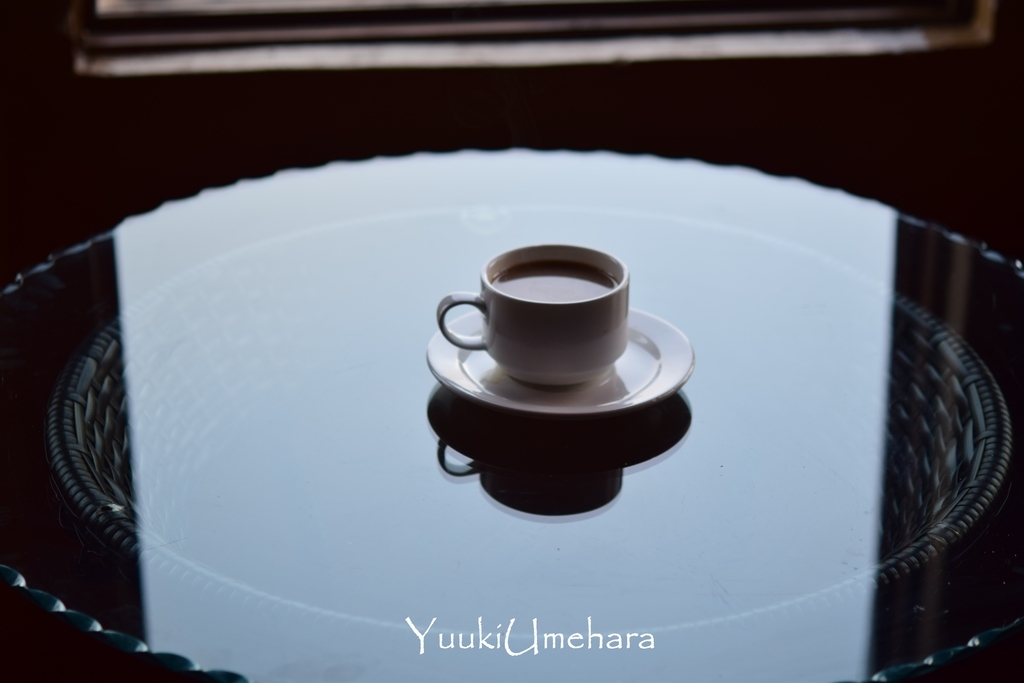 f:id:ugandacowcowdiary:20190210214809j:plain