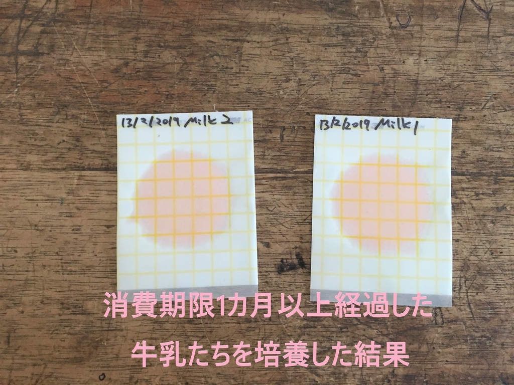 f:id:ugandacowcowdiary:20190314081311j:plain